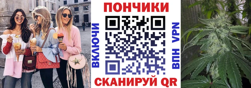 продажа наркотиков  Электросталь  Бошки Шишки ГИДРОПОН 